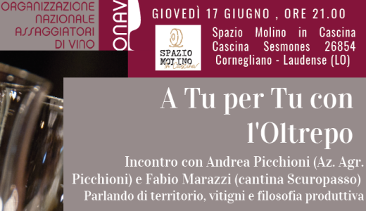 Picchioni and Scuropasso tasting (06/17/2021)