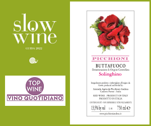 Slow Wine 2022 - Buttafuoco Solinghino 2019 - Top Wine - Vino Quotidiano