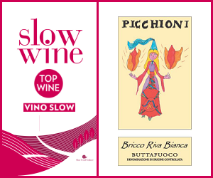 Slow Wine 2024 - Top Wine Vino Slow - Buttafuoco Bricco Riva Bianca 2020