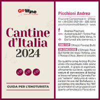 Go Wine 2024 - Copertina